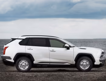 Mitsuoka Buddy '11.2020–pr.