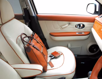 Інтэр'ер Mitsuoka Viewt "Ottava" '10.2012
