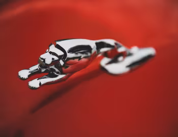 Mascot 1951 Monarch Convertible (76)