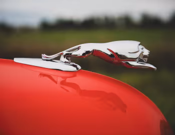Mascot 1951 Monarch Convertible (76)