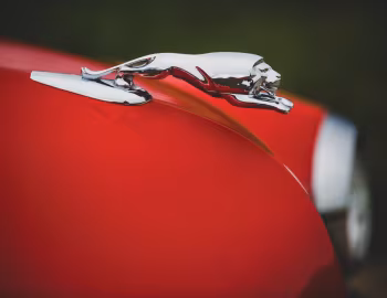 Mascot 1951 Monarch Convertible (76)