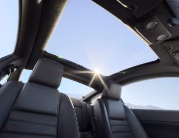 Interior 2009 Ford Mustang GT Glass Roof '2008–09
