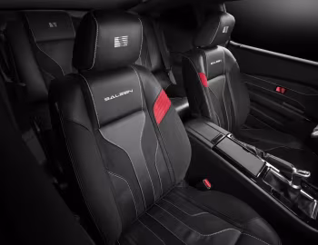 Interior Saleen S281 '2009–10