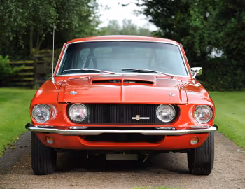 1967 Shelby GT500