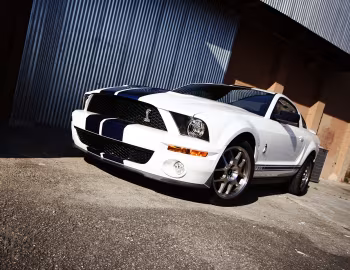 2007–09 Shelby GT500 [North America] '2006–09