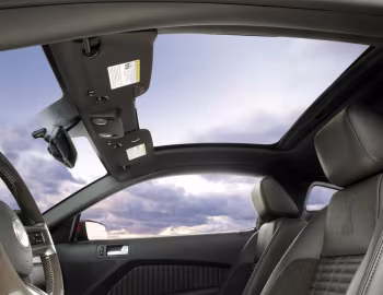 Interior 2011–12 Shelby GT500 SVT [North America] '2010–12