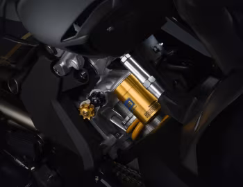 2019 MV Agusta F4 "Claudio" '2018–19