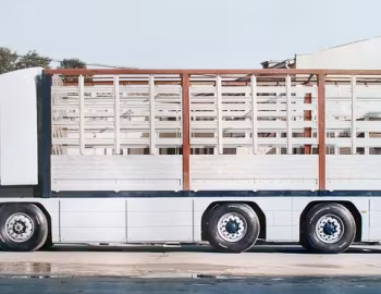 НАМИ-0286 ''Тайфун'' '1989–91