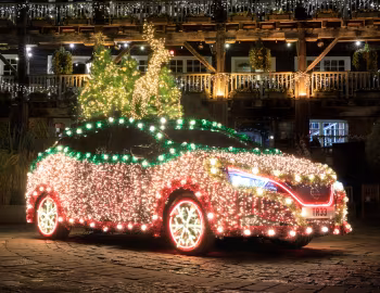 Nissan Leaf Tree '12.2019