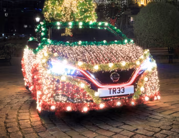 Nissan Leaf Tree '12.2019