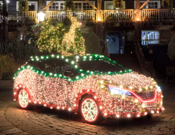 Nissan Leaf Tree '12.2019