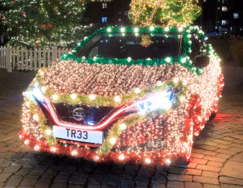 Nissan Leaf Tree '12.2019
