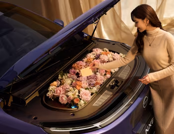 Coffre Nissan NX8 [China] '2026