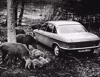 NSU Ro 80 '10.1967–04.1977