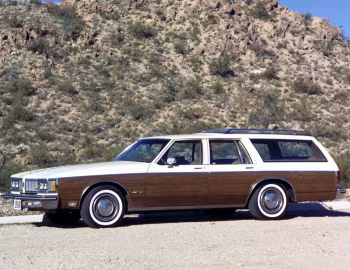1980 Oldsmobile Custom Cruiser (3B P35)
