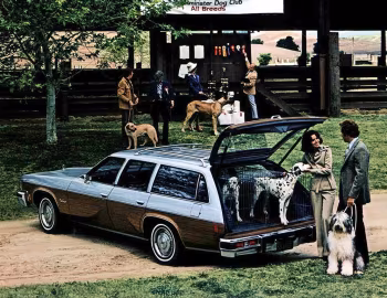 1977 Oldsmobile Vista Cruiser (VC J35)