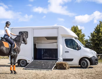Opel Movano Lamar horsebox '2017–pr.