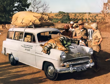 Opel Olympia Caravan '1955
