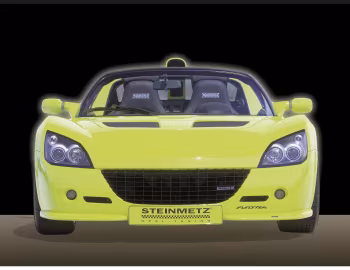 Steinmetz Funster Concept '2001