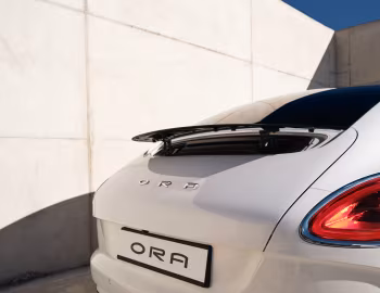 Ora Lightning Cat '2022–н.в.
