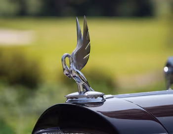 Mascote 1931 Packard Deluxe Eight Convertible Victoria by Waterhouse (845)