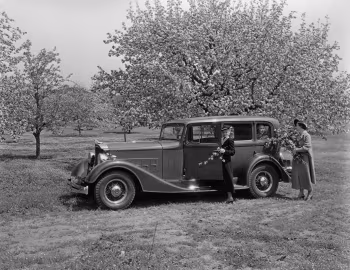 1934 Packard Eight 5-passenger Sedan (1100-703)