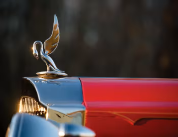 Mascote 1934 Packard Eight Coupe Roadster (1101-719) '08.1933–34