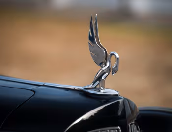 Mascote 1938 Packard Twelve All-Weather Cabriolet by Brunn (1608-3087)