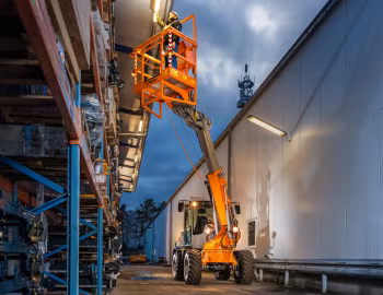 Paus TSL 9075 '2020–pr.