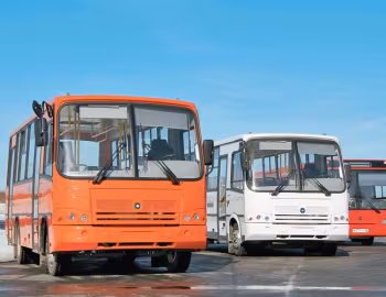 ПАЗ '1952–н.ч.