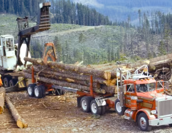 Peterbilt 359 '1972–87