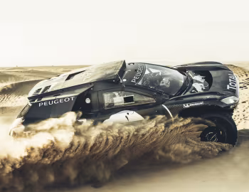 Peugeot 2008 DKR16 '2015–16