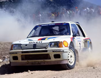 Peugeot 205 T16 Rally Car '1984–86