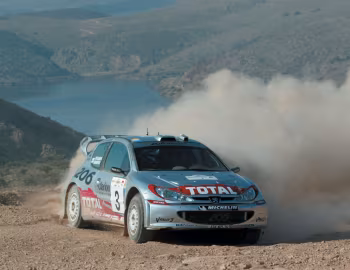 Peugeot 206 WRC '06.2002–03
