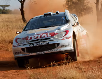 Peugeot 206 WRC '06.2002–03