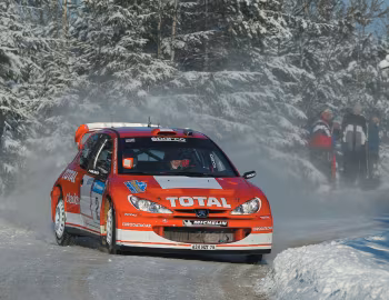 Peugeot 206 WRC '06.2002–03