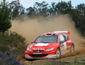 Peugeot 206 WRC '06.2002–03