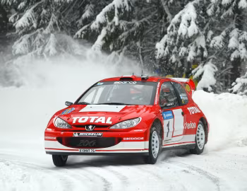 Peugeot 206 WRC '06.2002–03