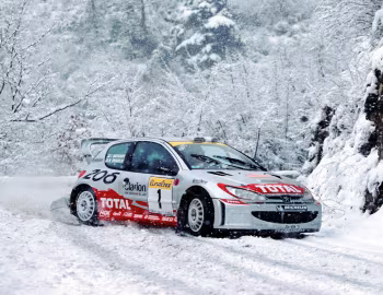 Peugeot 206 WRC '04.1999–04.2001