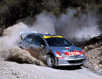Peugeot 206 WRC '05.2001–05.2002