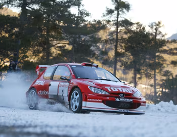 Peugeot 206 WRC '06.2002–03