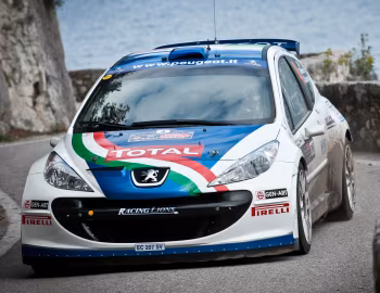 Peugeot 207 S2000 '2006–09