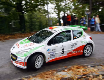 Peugeot 207 S2000 '2006–09