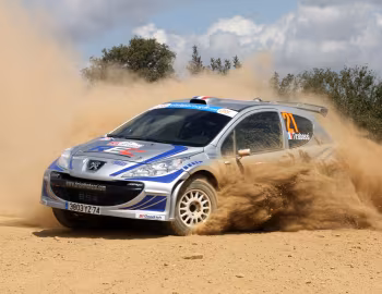 Peugeot 207 S2000 '2006–09