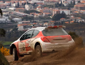 Peugeot 207 S2000 '2006–09