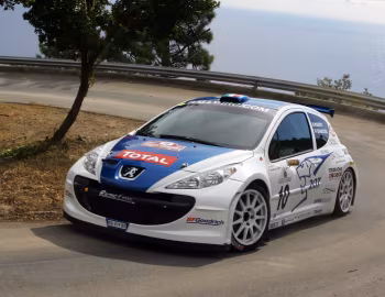 Peugeot 207 S2000 '2006–09