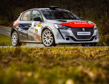 Peugeot 208 Rally 4 '2020–pr.