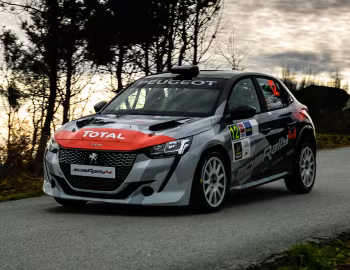 Peugeot 208 Rally 4 '2020–pr.