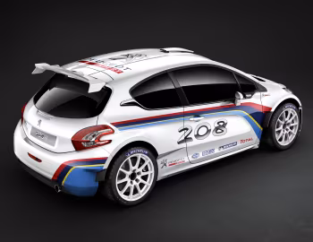 Peugeot 208 Type R5 '2013