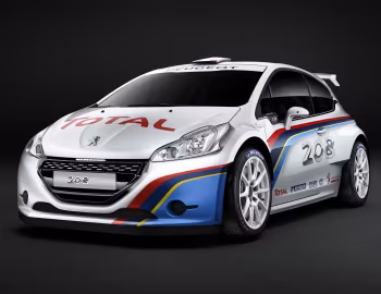 Peugeot 208 Type R5 '2013